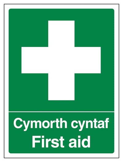 Welsh English First Aid Portrait