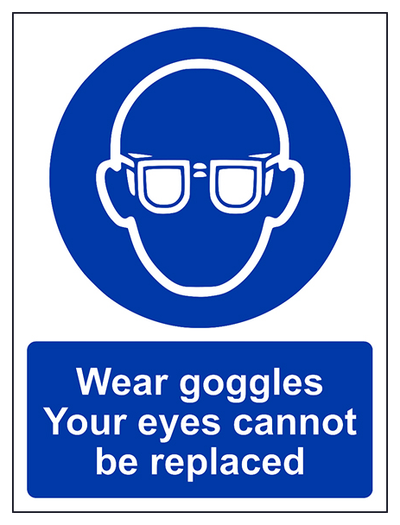 Wear Goggles Your Eyes Cannot Be Replaced Portrait