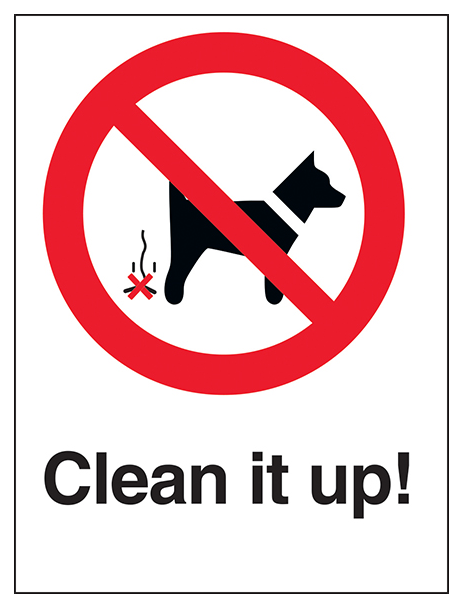 Clean It Up