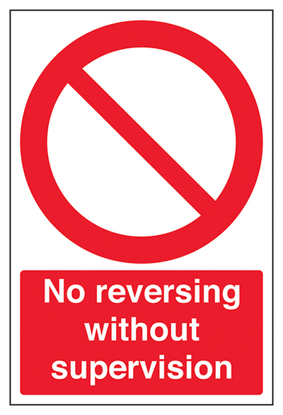 No Reversing Without Supervision Portrait