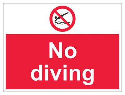 No Diving Large Landscape