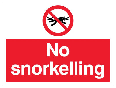 No Snorkelling Large Landscape
