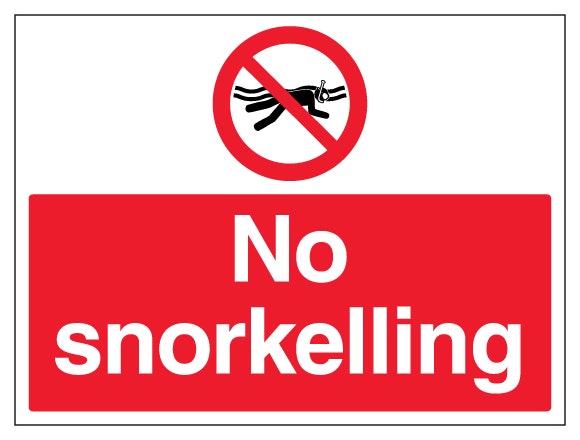 No Snorkelling Large Landscape