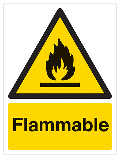 Flammable Portrait
