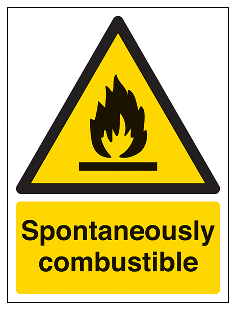 Spontaneously Combustible Portrait
