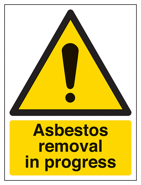 Asbestos Removal In Progress Portrait