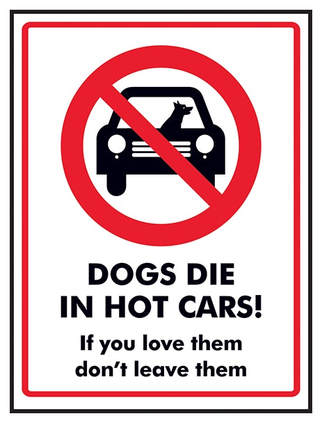 Dogs Die In Hot Cars If You Love Them Don T Leave Them