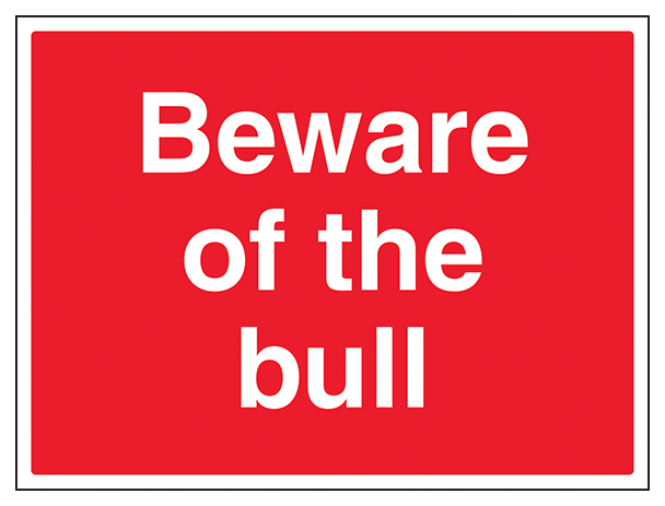 Beware Of The Bull Large Landscape