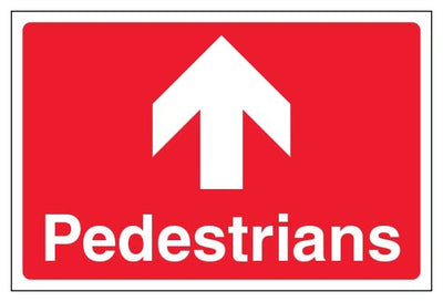 Pedestrians Large Landscape