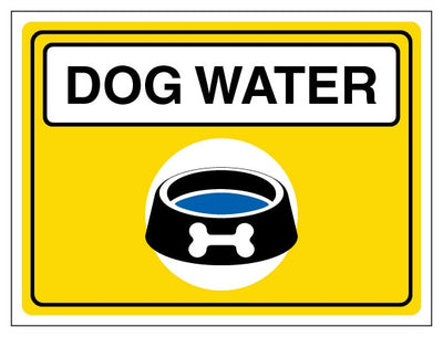 Dog Water Landscape