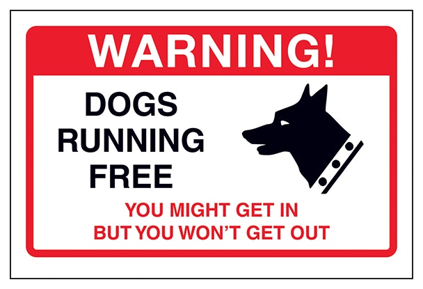 Dogs Running Free You Might Get In