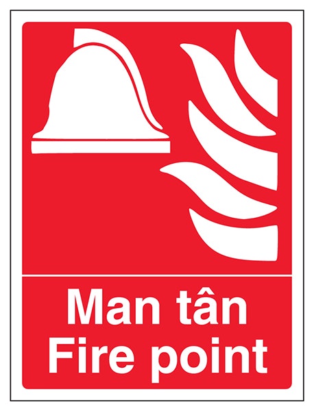 Welsh English Fire Point Portrait
