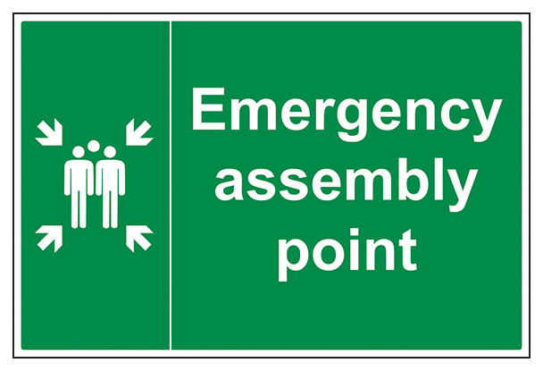 Emergency Point With Family Large Landscape