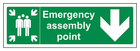 Emergency Assembly Point Arrow Down