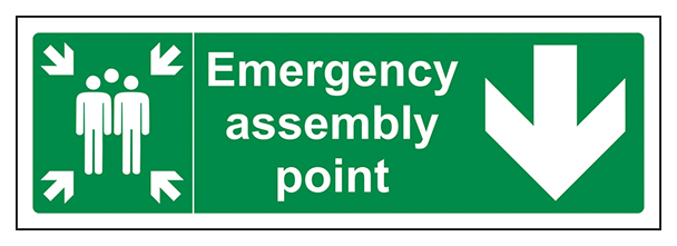 Emergency Assembly Point Arrow Down
