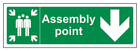 Assembly Point Arrow Down