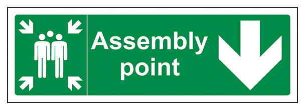 Assembly Point Arrow Down