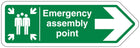 Emergency Assembly Point Arrow Right - Shaped Sign