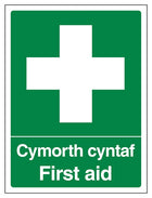 Welsh/English - First Aid - Portrait