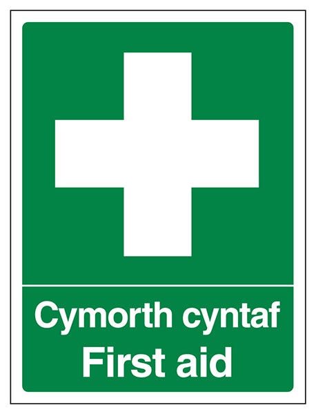 Welsh English First Aid Portrait