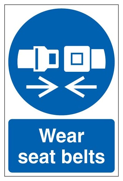 Wear Seat Belts Portrait