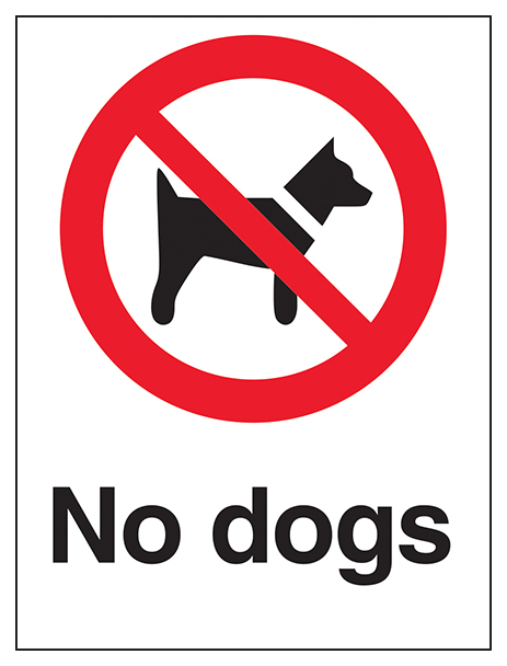 No Dogs White Background