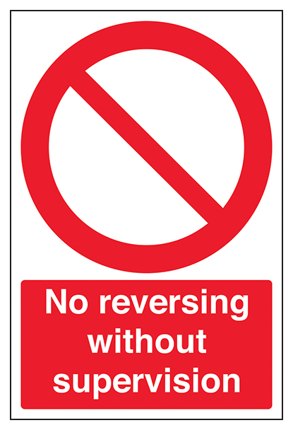 No Reversing Without Supervision Portrait
