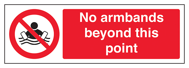 No Armbands Beyond This Point Landscape