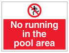 No Running In The Pool Area - Large Landscape