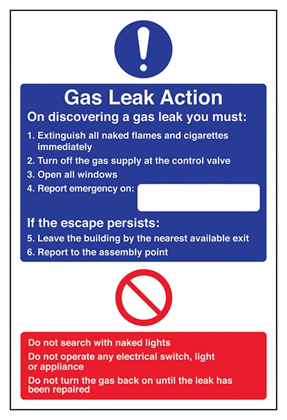 Gas Leak Action Portrait