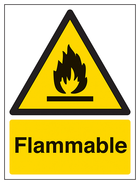 Flammable - Portrait