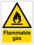 Flammable Gas - Portrait