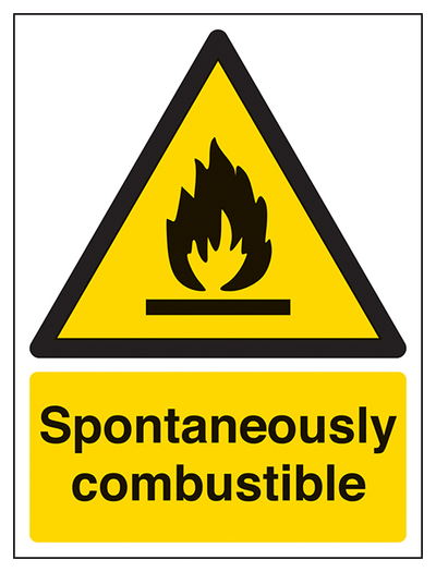 Spontaneously Combustible Portrait