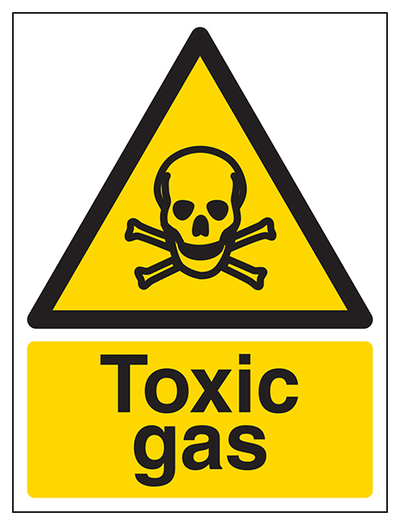 Toxic Gas Portrait
