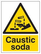 Caustic Soda - Portrait
