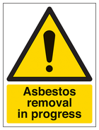 Asbestos Removal In Progress - Portrait