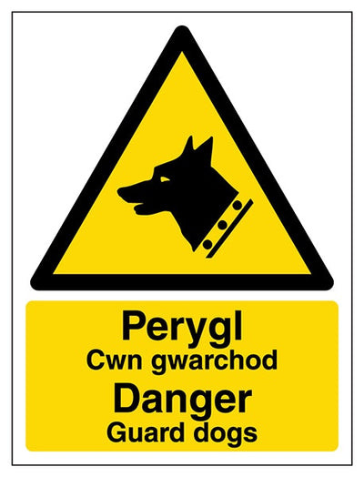 Welsh English Danger Guard Dogs