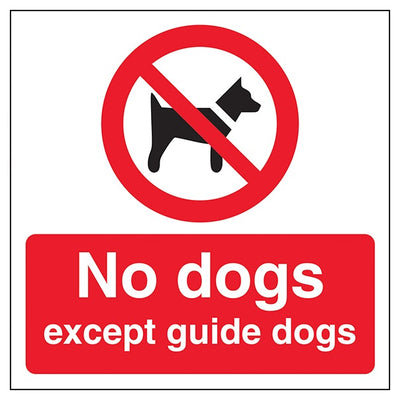 No Dogs Automatic Door