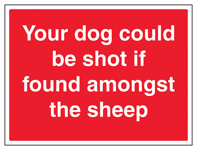 Your Dog Could Be Shot If Found Amongst The Sheep Large Landscape