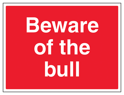 Beware Of The Bull Large Landscape