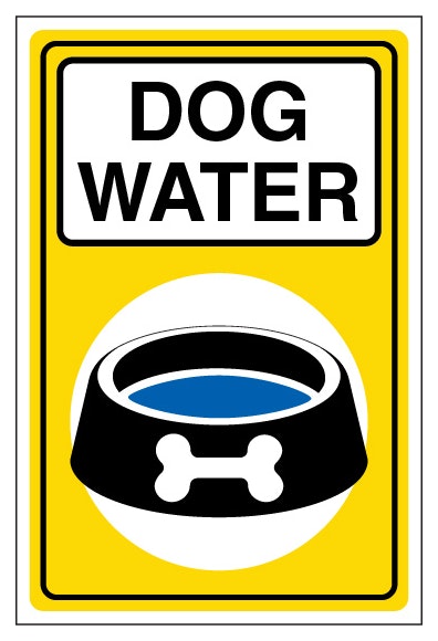 Dog Water Portrait