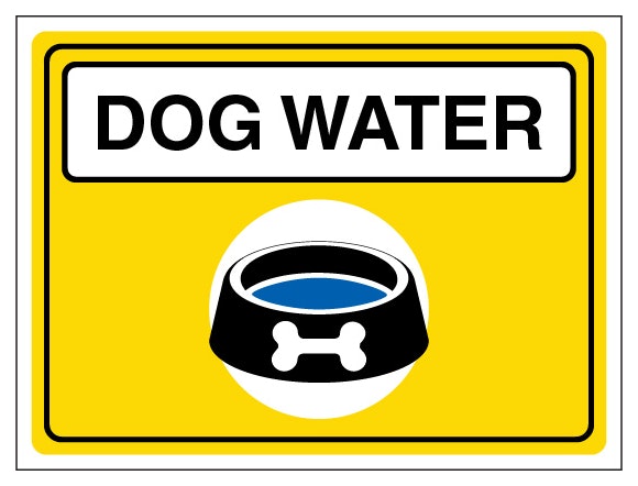 Dog Water Landscape